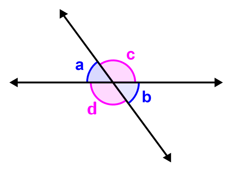 ángulos opuestos por el vértice