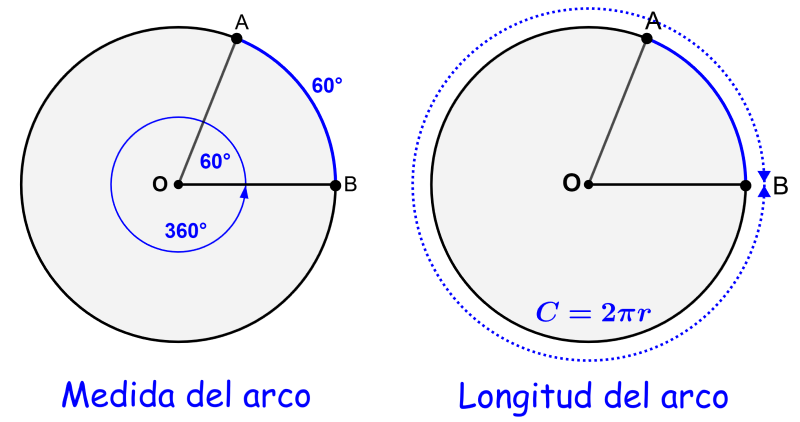 medida del arco y longitud del arco de una circunferencia