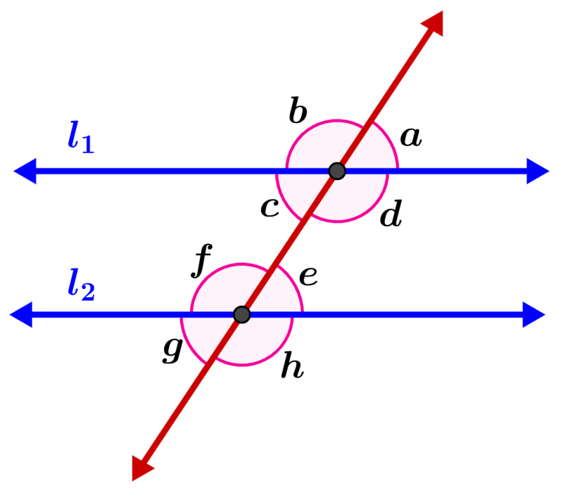 ángulos formados por dos líneas paralelas