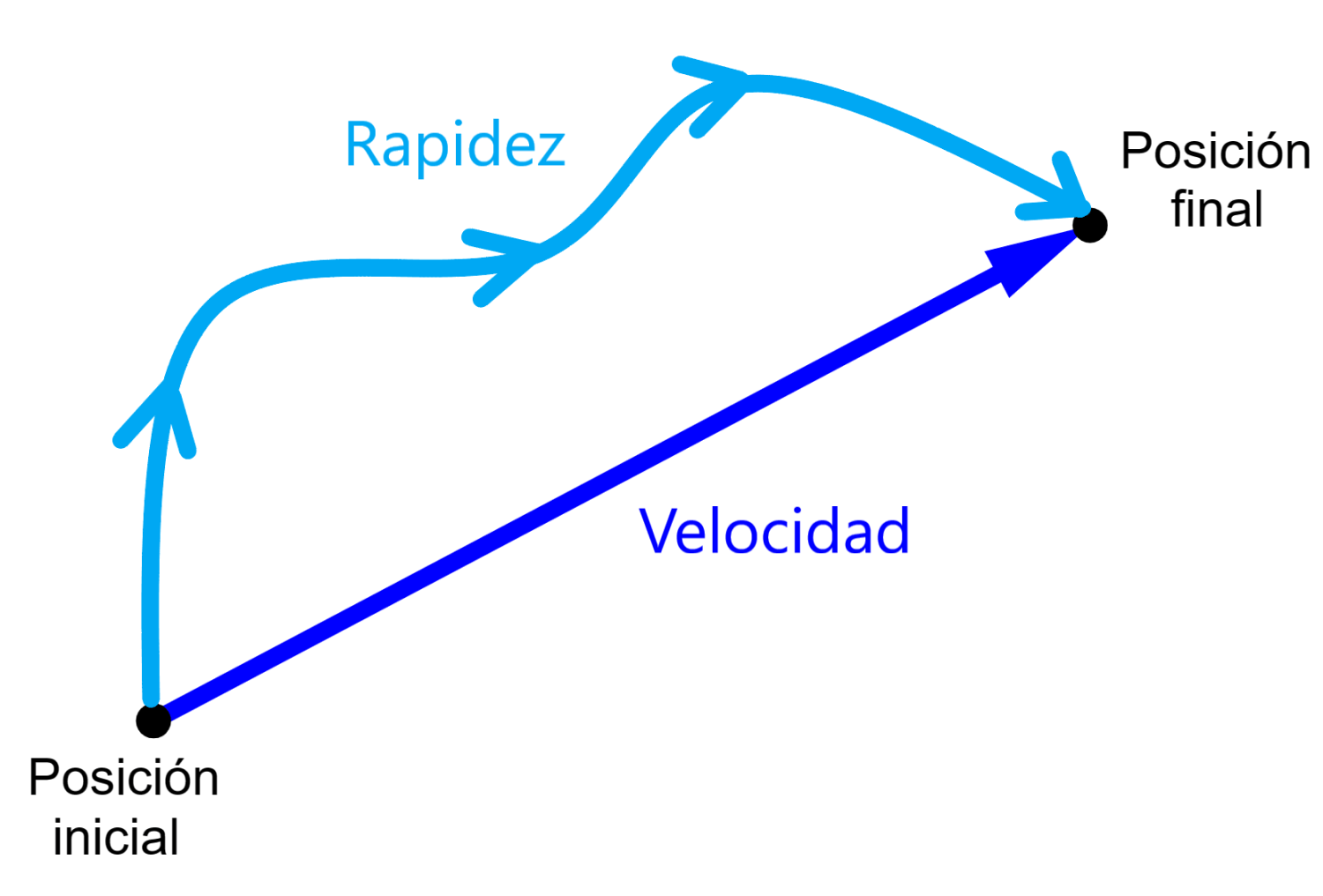 Velocidad vs Rapidez en Física