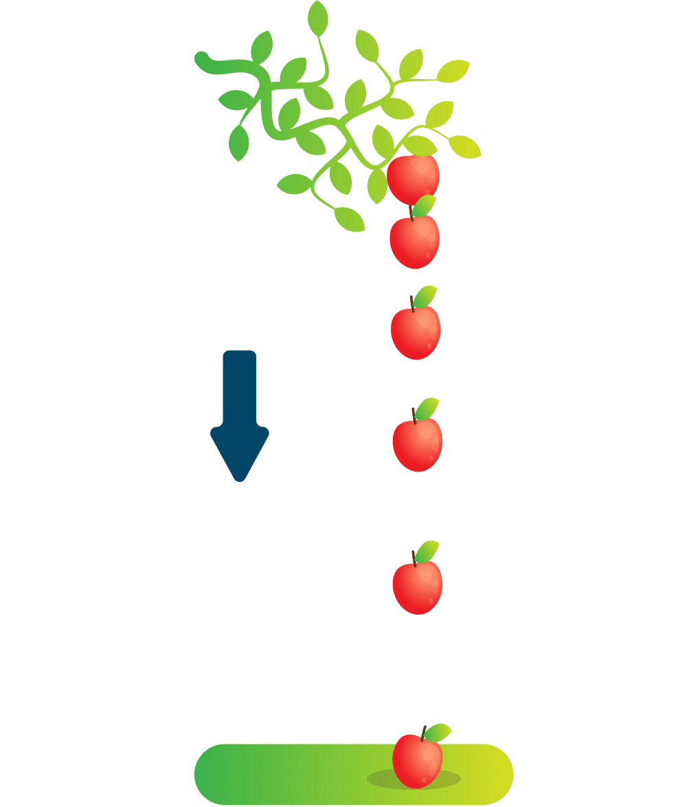 Efectos de la aceleración de la gravedada en una manzana